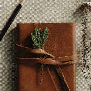 Recovering from Trauma - personal development course (online, 20 hours)